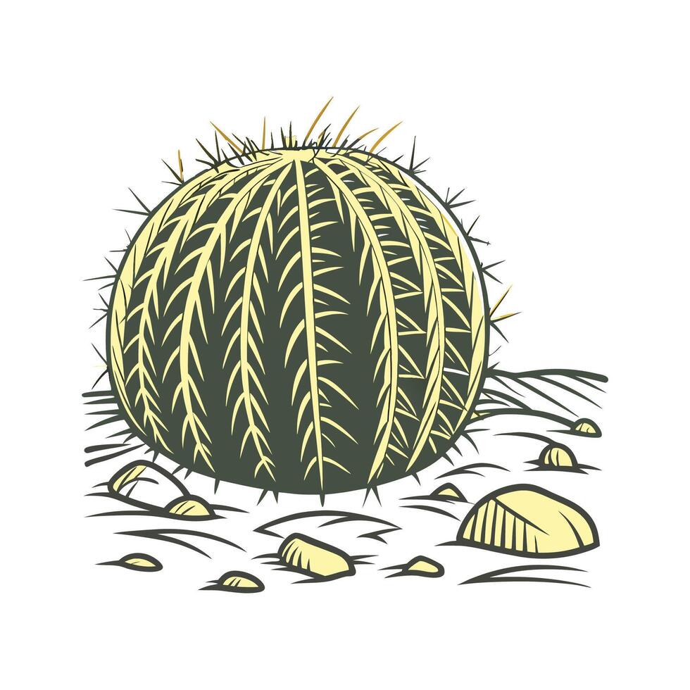 Golden Barrel Cactus Botanical Visualization vector