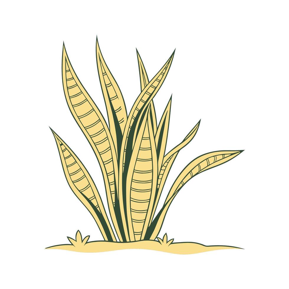 Vibrant Golden Snake Plant Design vector