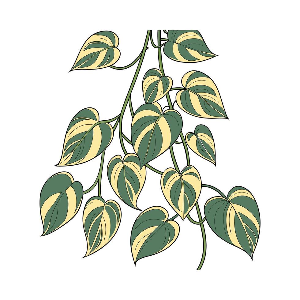 Stunning Golden Pothos Design vector