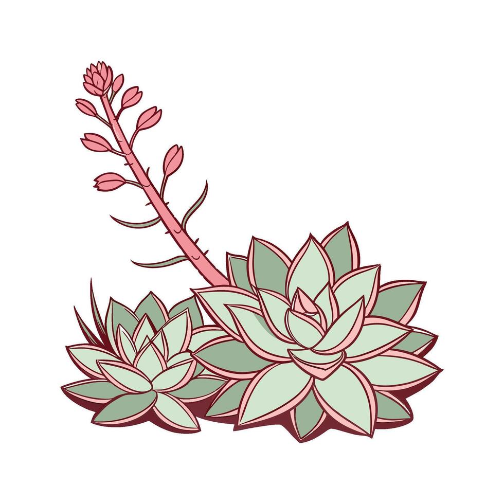 Vibrant Graptoveria Artwork vector
