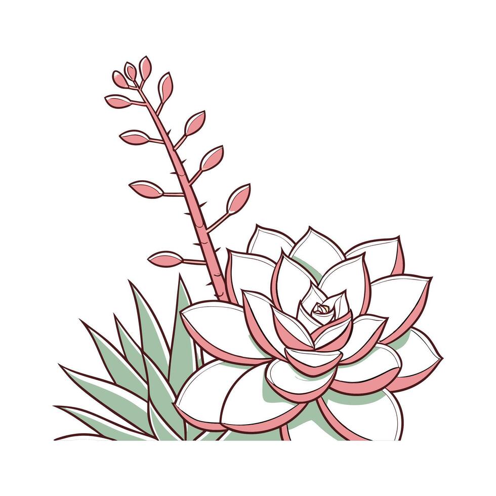 Stunning Graptoveria Plant Design vector
