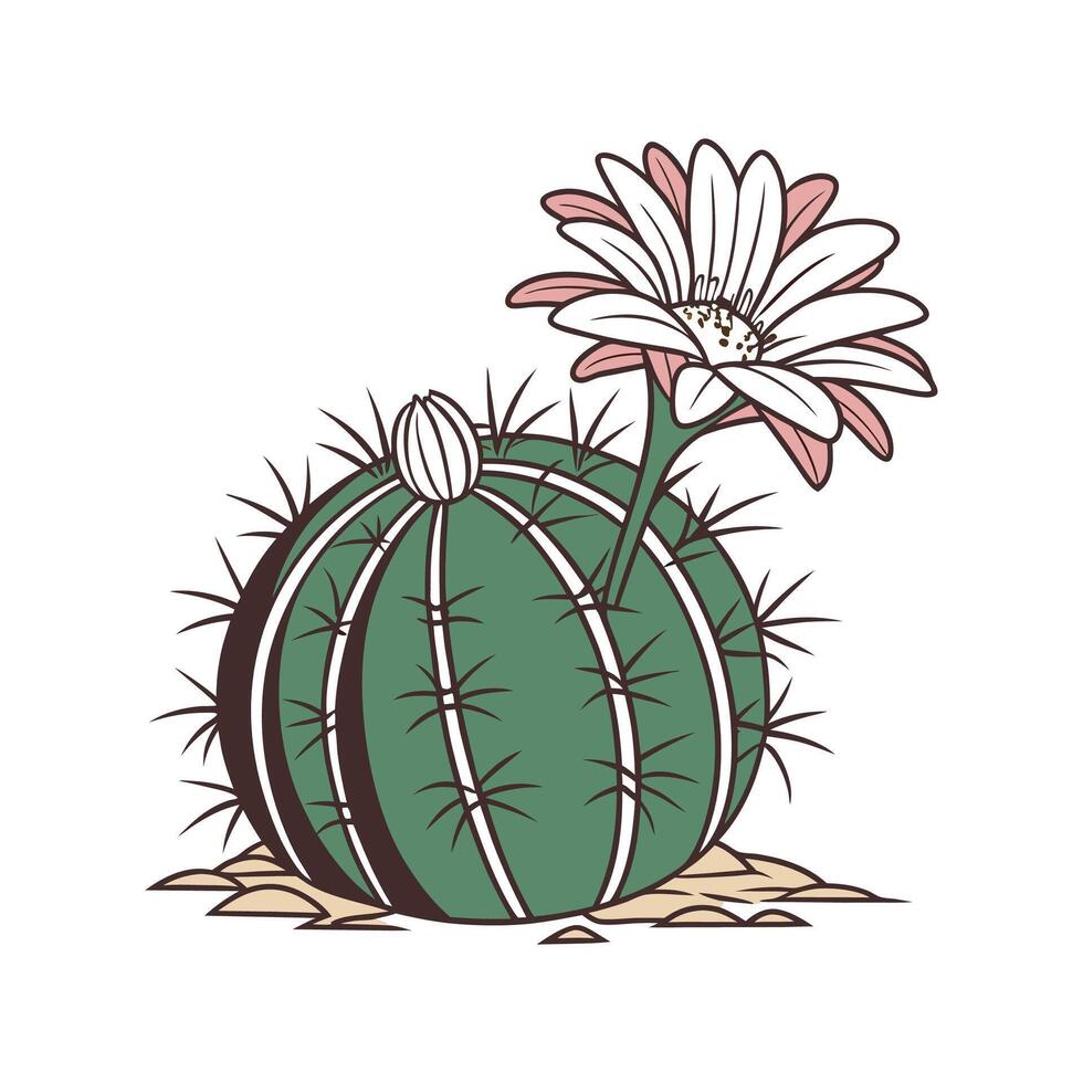 Artistic Gymnocalycium Cactus Visualization vector