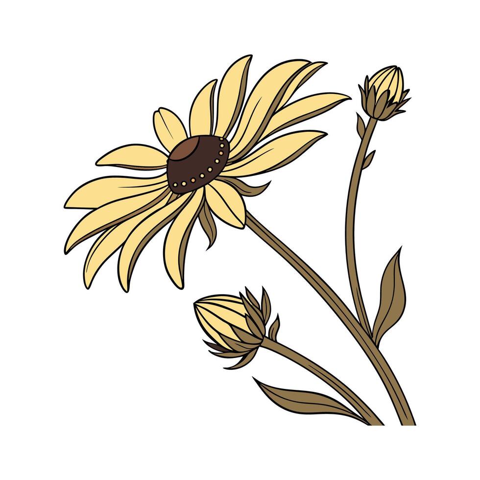 Stunning Heliopsis Plant Illustration vector