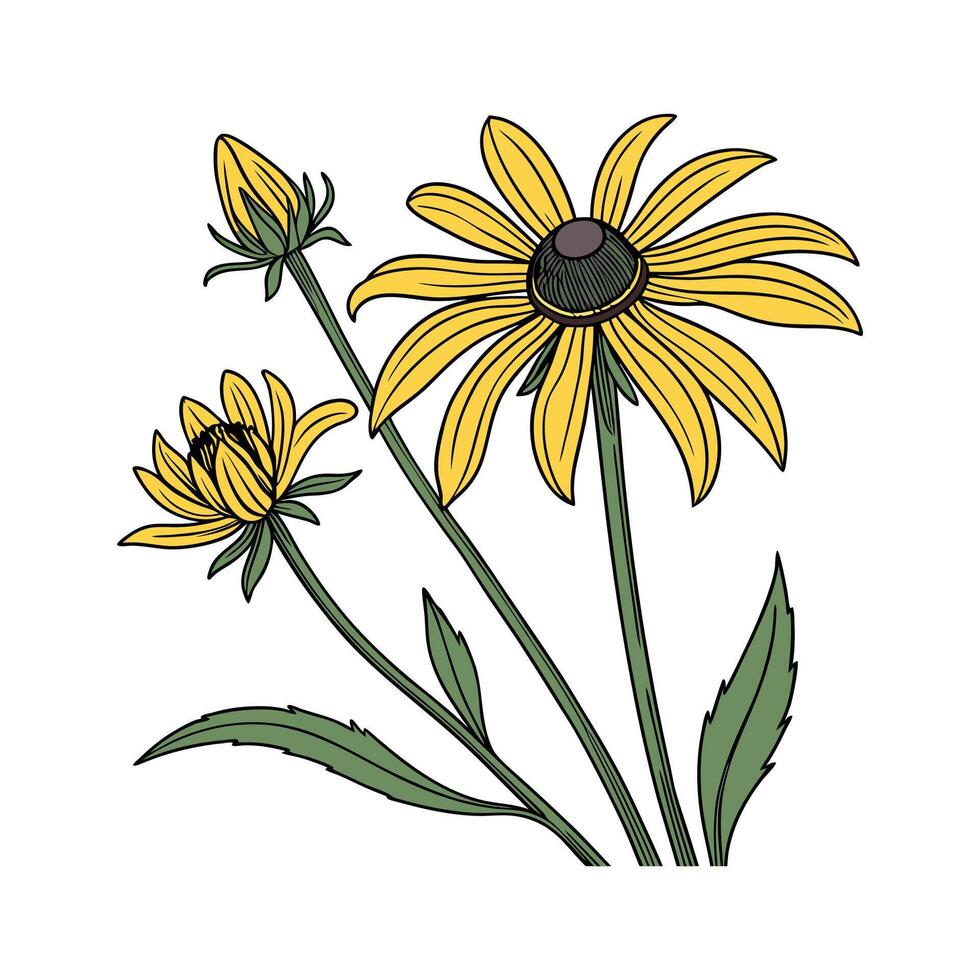 Artistic Heliopsis Plant Visualization vector