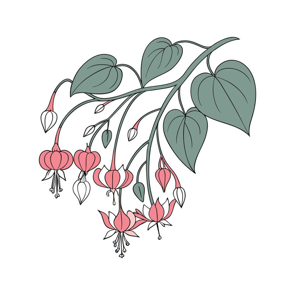 Stunning Hoya Plant Design vector