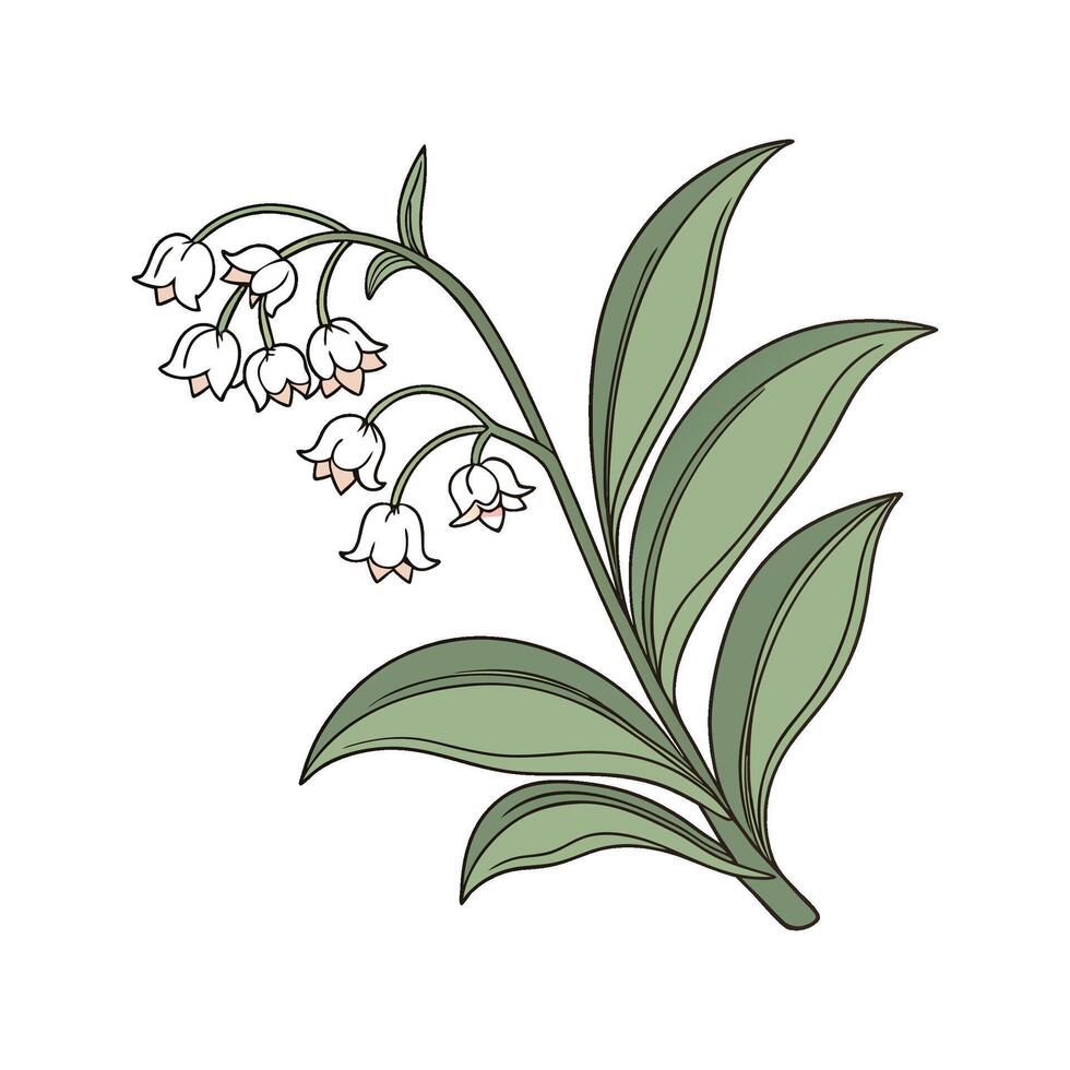Vibrant Hoya Flower Artwork. vector