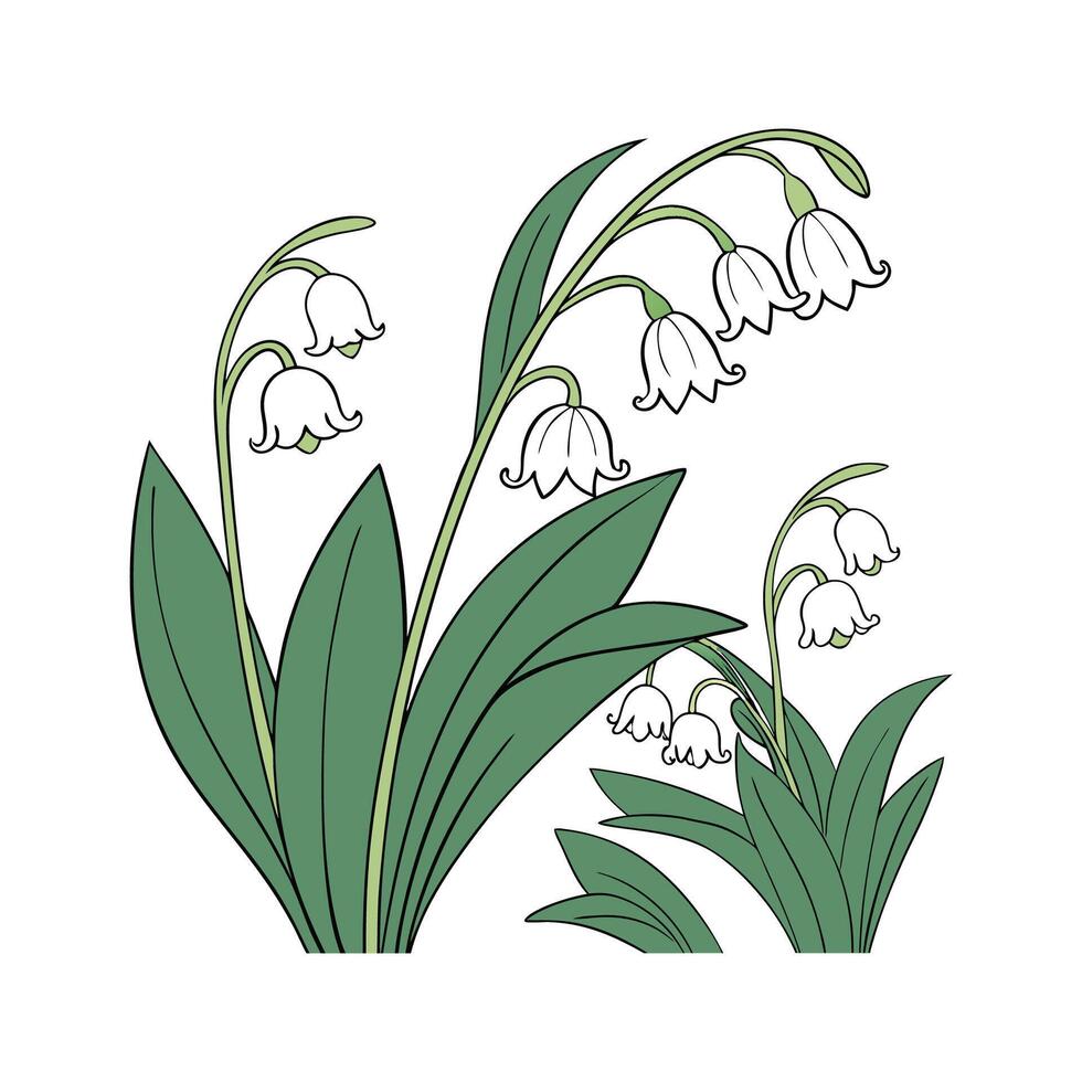 Artistic Hoyas Plant Visualization vector
