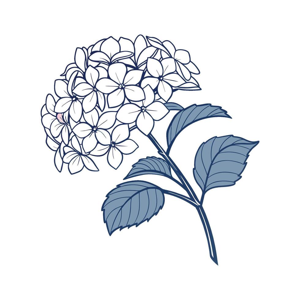 Vibrant Hydrangea Artwork vector