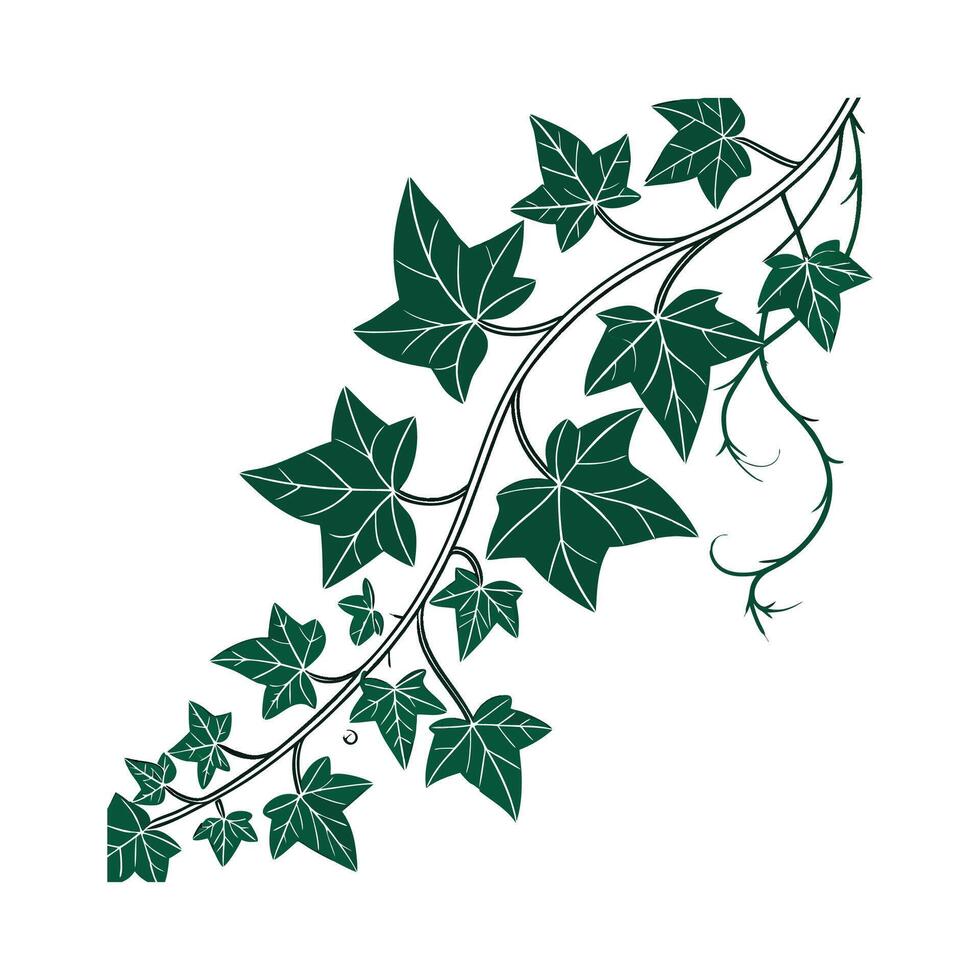 Artistic Ivy Visualization vector