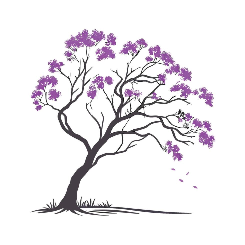 Stunning Jacaranda Flowers on Bright Background vector