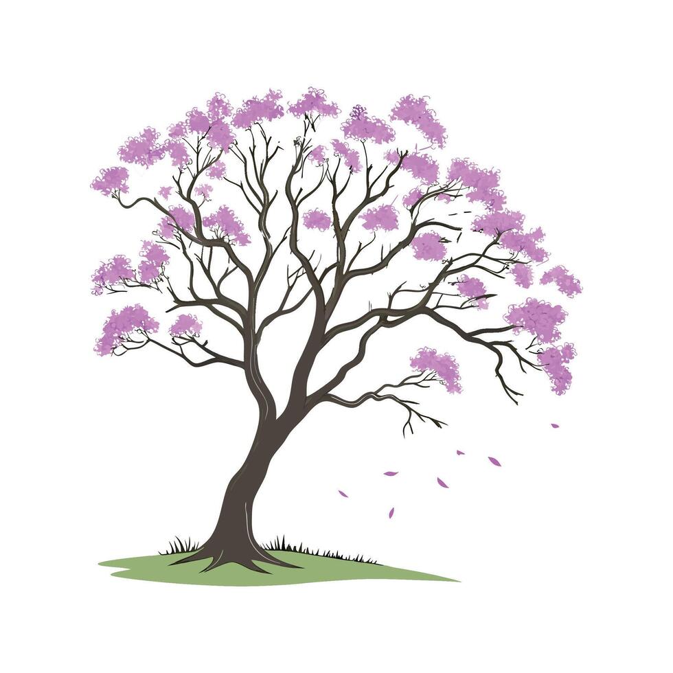 Jacaranda Flower Composition on White vector