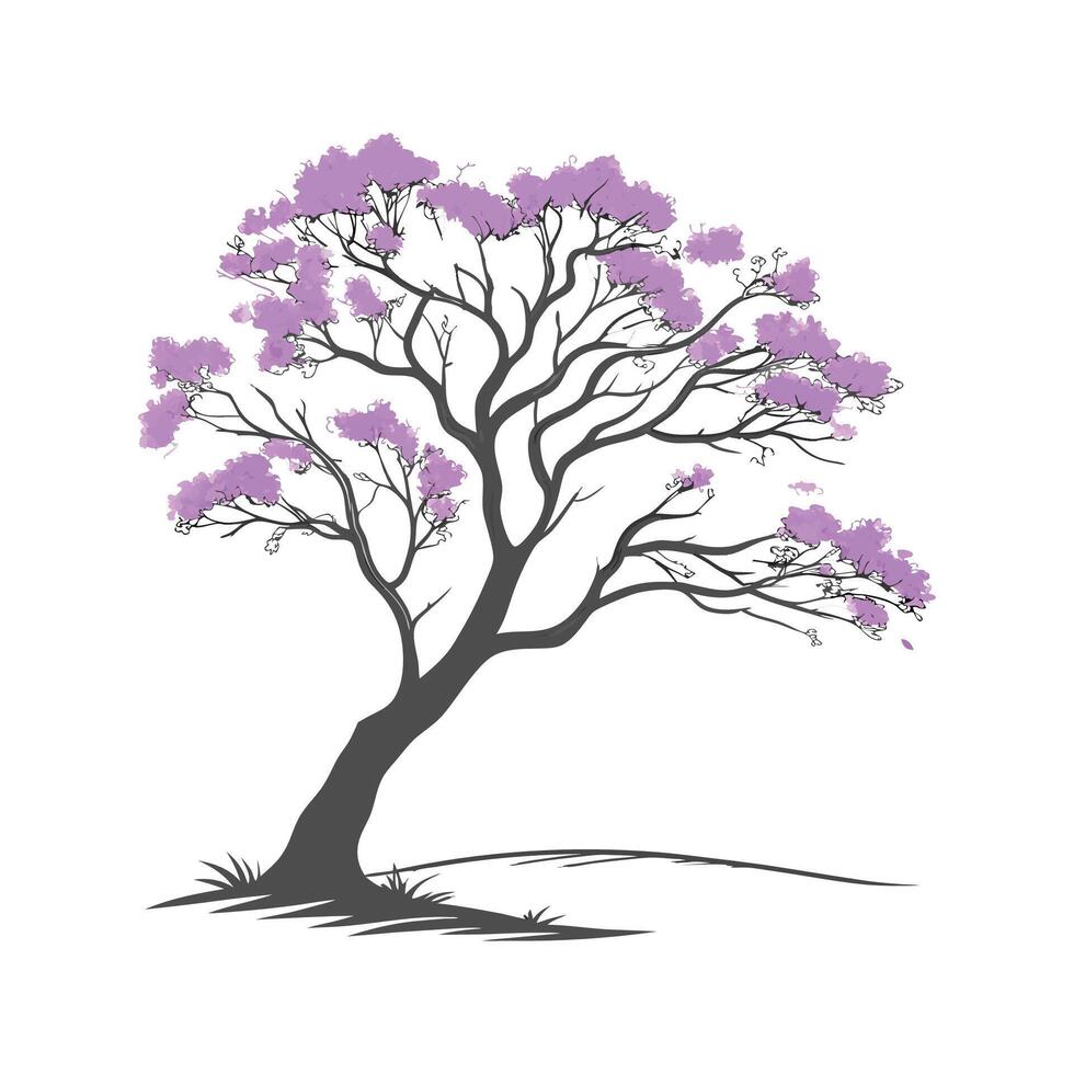 Artistic Jacaranda Floral Design on White vector