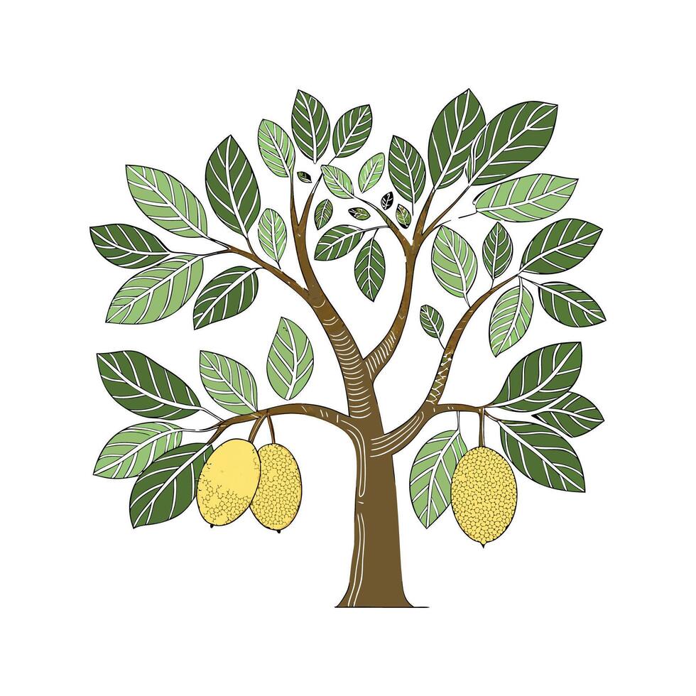 Stylized Jackfruit Tree on Clean Background vector