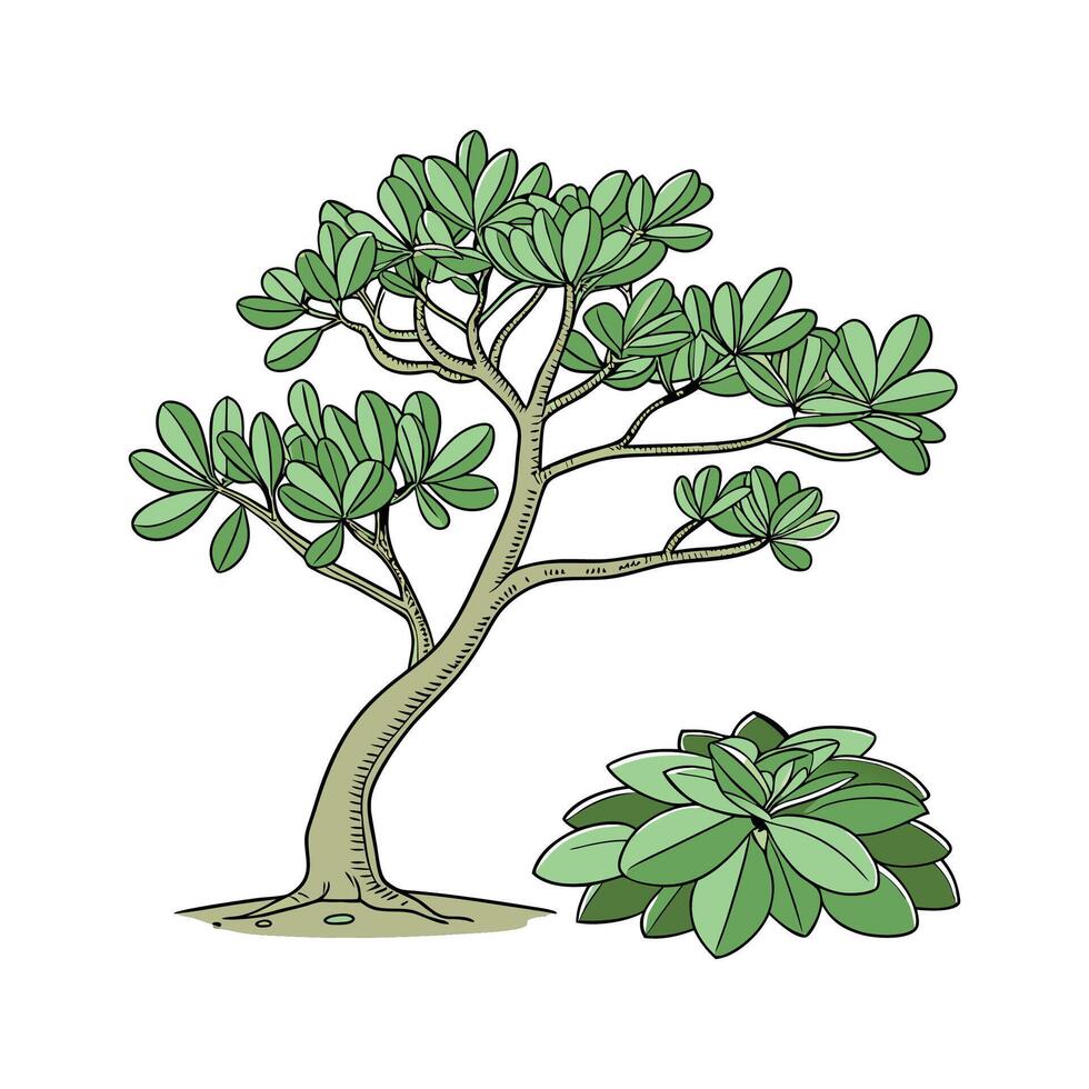 Vibrant Jade Plant Design with Unique Texture vector