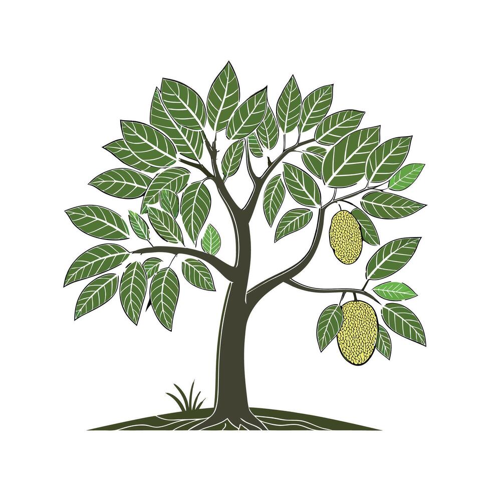 Stunning Jackfruit Tree Artwork on White vector