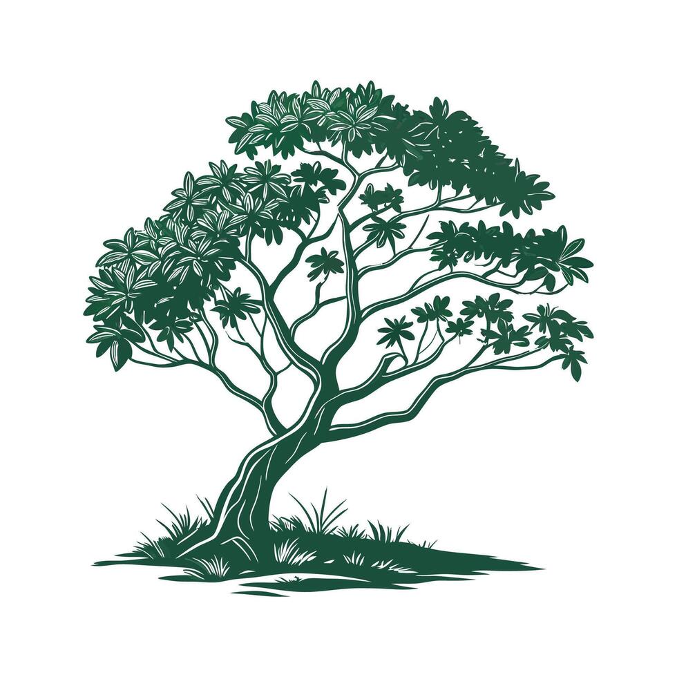 Stunning Jade Plant Illustration with Unique Leaves vector