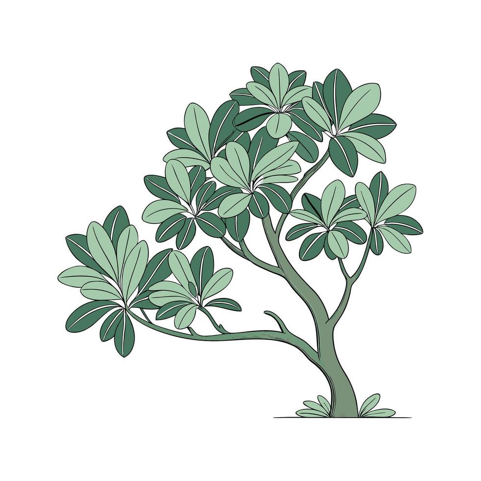 Vibrant Jade Plant Artwork on Bright White vector