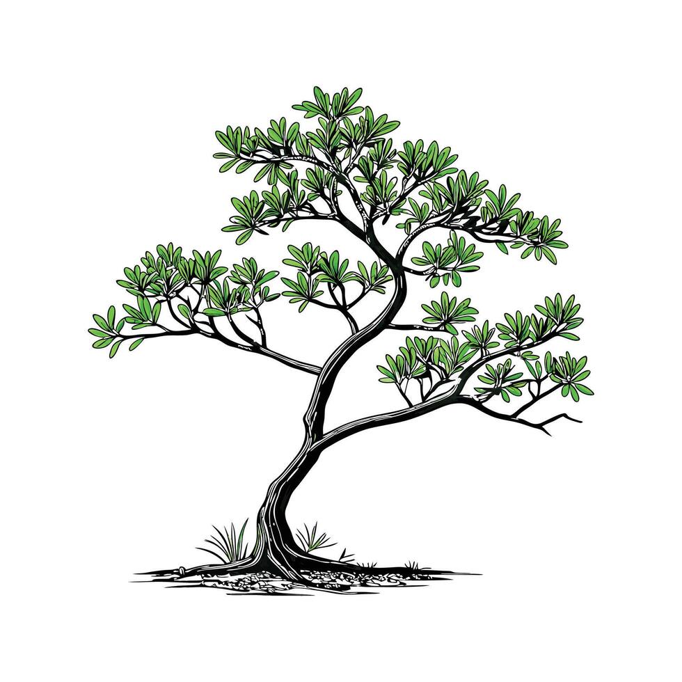 Beautiful Jade Plant Design on Clean White vector