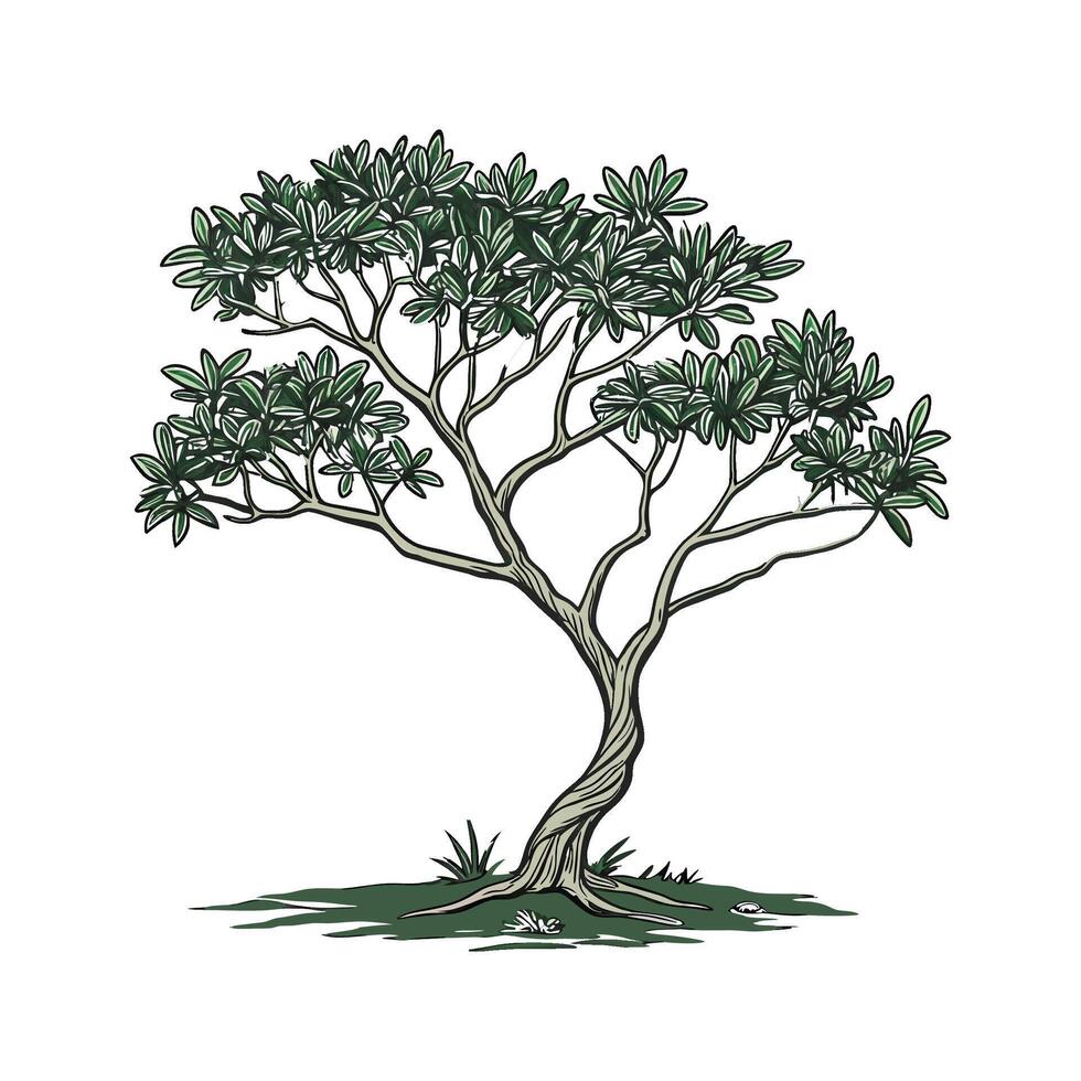 Stunning Jade Plant Illustration with Green Foliage vector