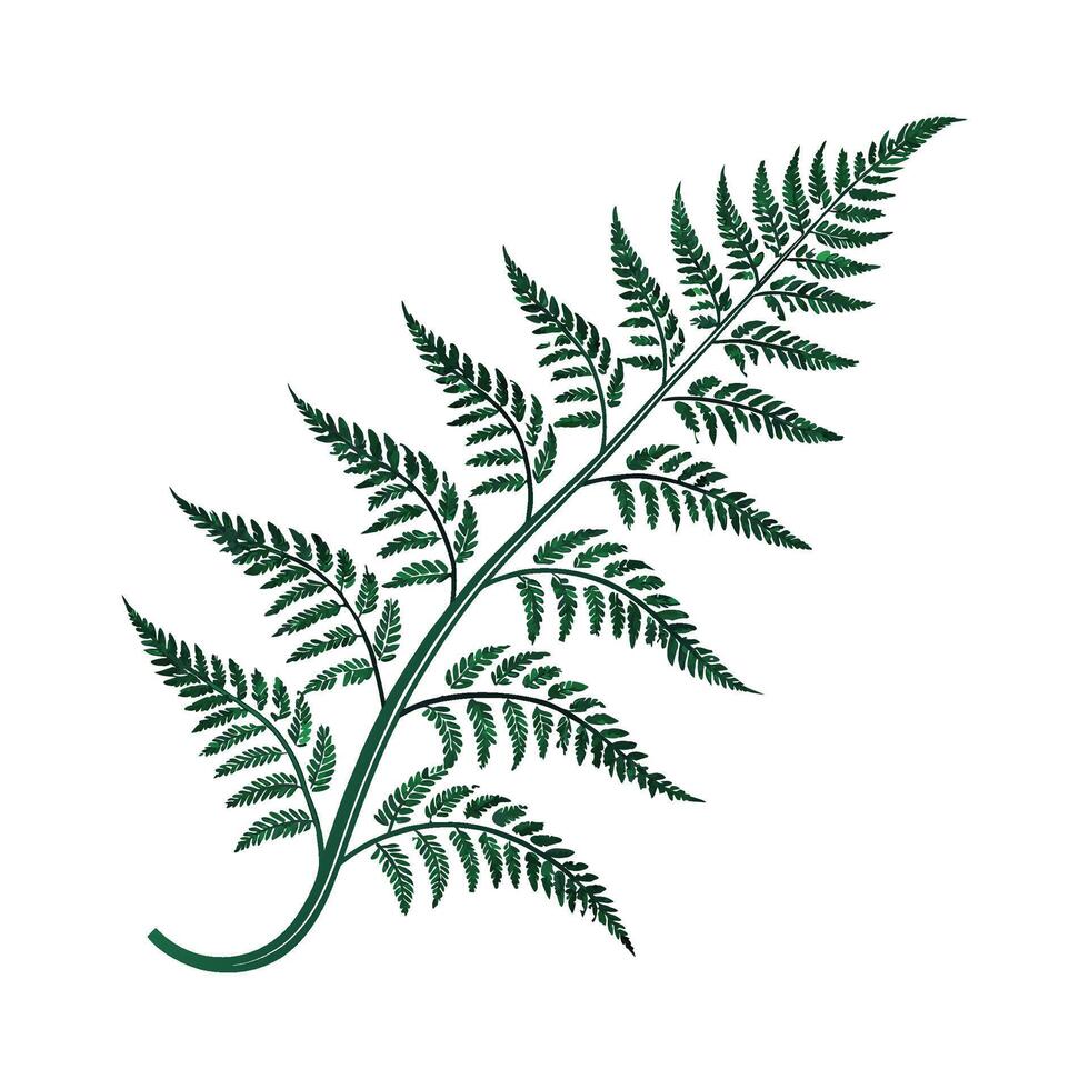Elegant Japanese Fern Design on Bright Surface vector