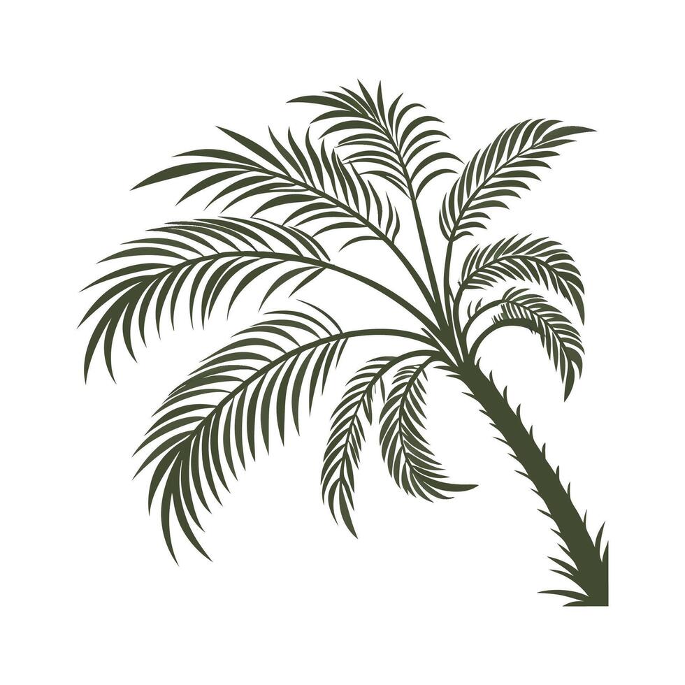 Stylized Japanese Fan Palm on Clean Surface vector