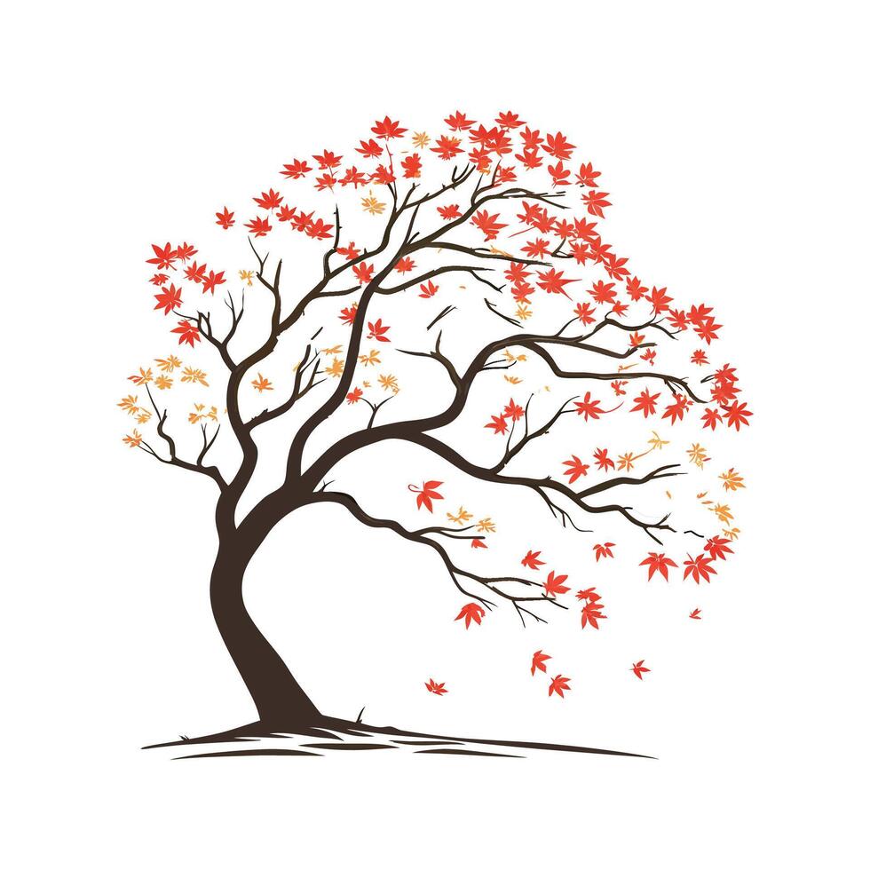 Elegant Japanese Maple Acer Palmatum Design vector