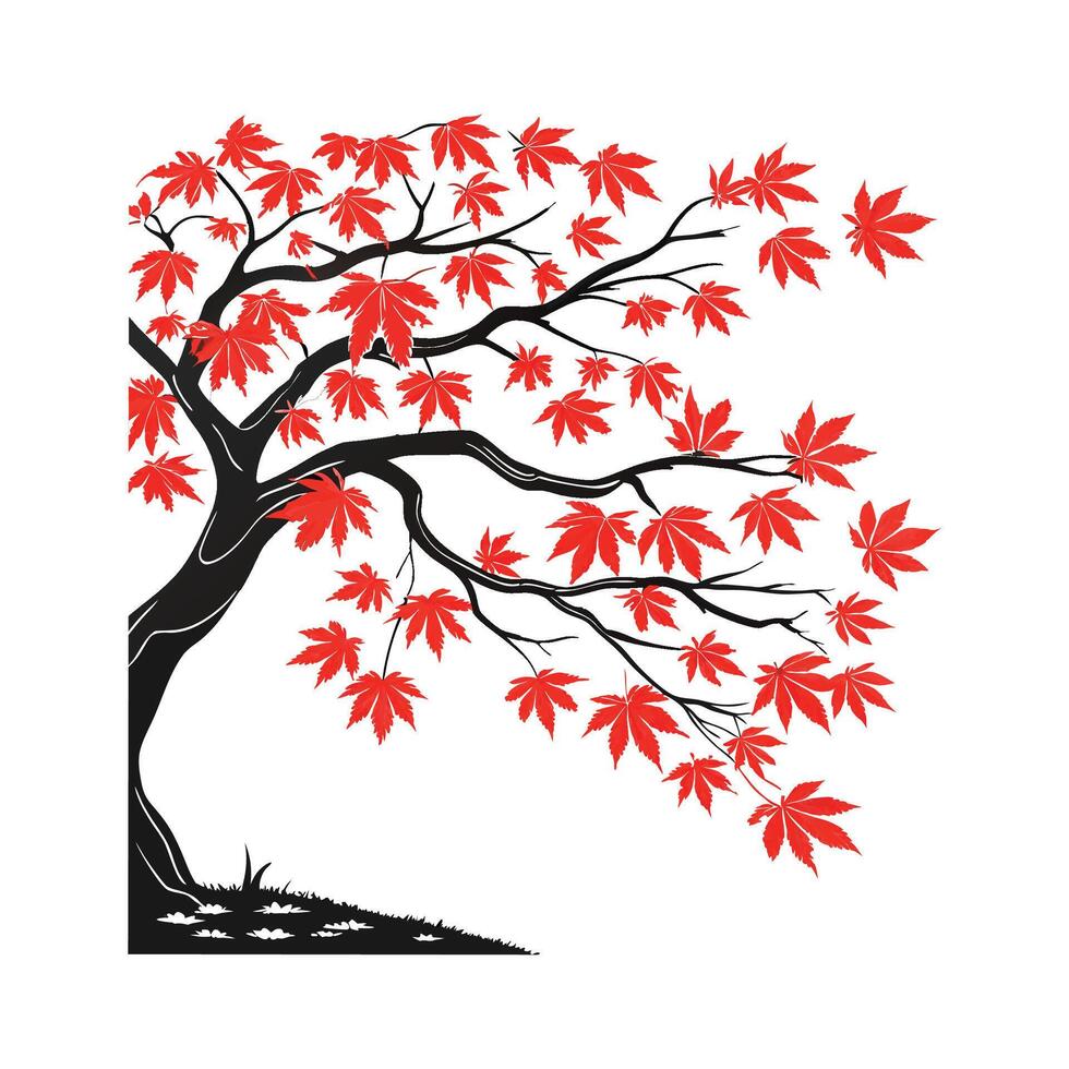 Stylized Japanese Maple Acer Palmatum on White vector