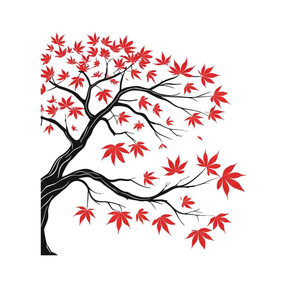 Beautiful Japanese Maple Leaf Design on White vector