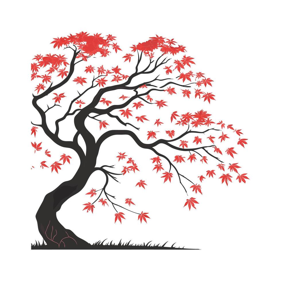 Stylized Japanese Maple Leaf Design on White vector