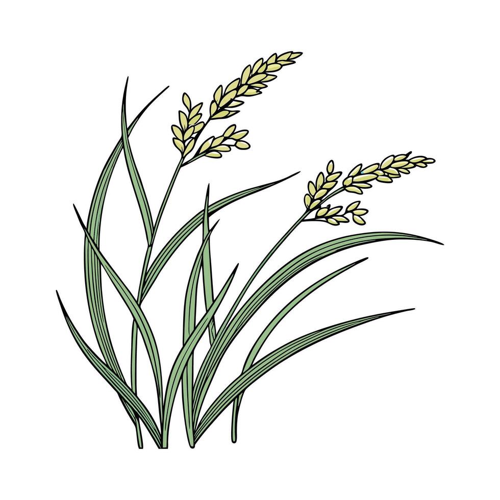 Elegant Japanese Sedge Design on Bright White vector