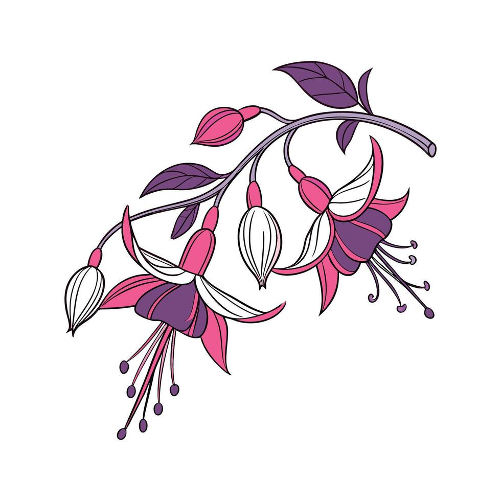 Elegant Jewel Orchid Design on Bright White vector