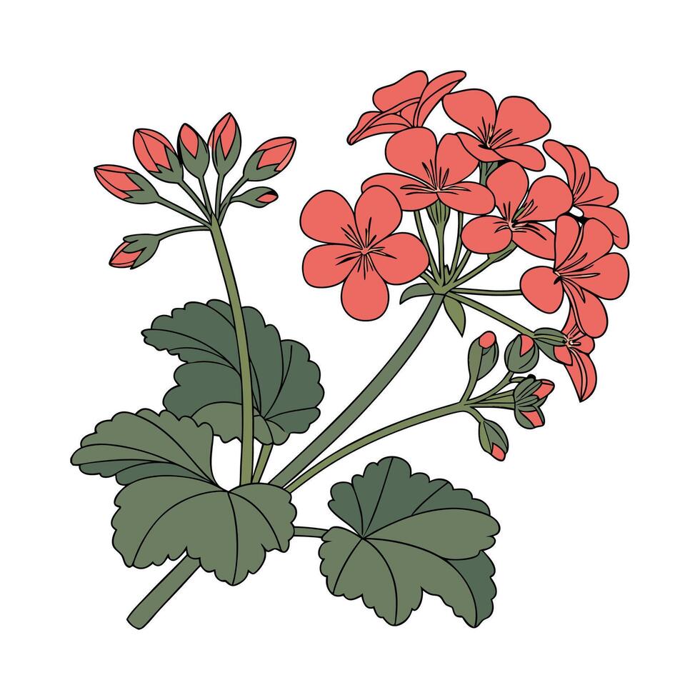 Vibrant Kalanchoe Plant with Bright Green Leaves vector