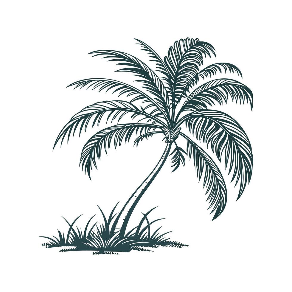 Vibrant Kentia Palm Artwork on Clean White vector
