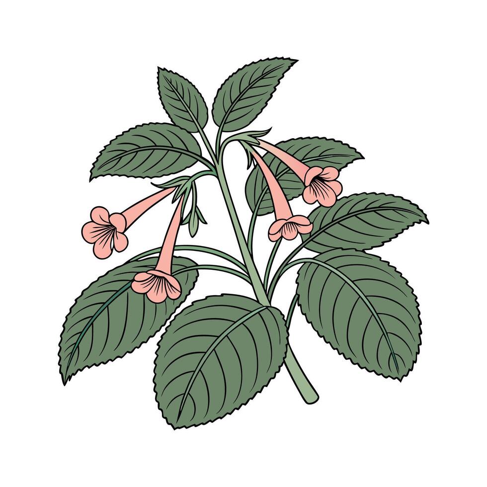 Elegant Kohleria Design on Bright White vector