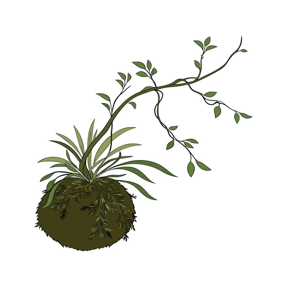 Vibrant Kokedama Plant Design on Bright Background vector