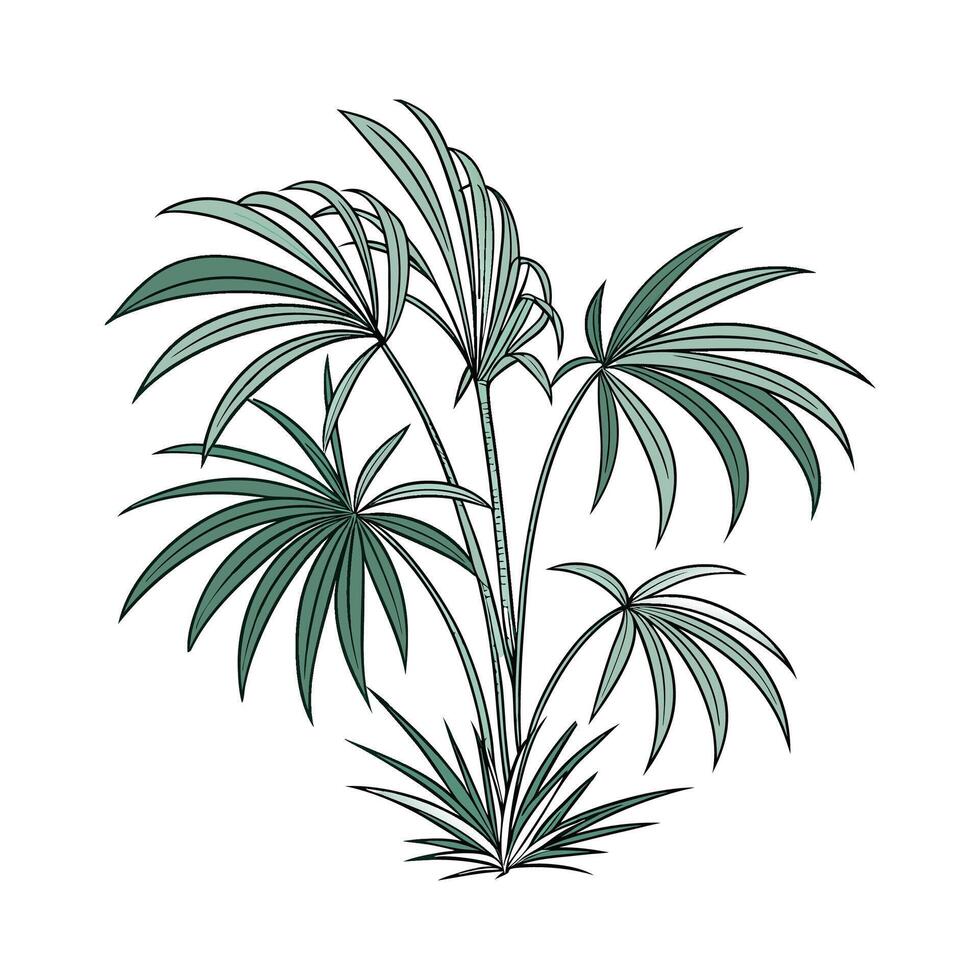 Stylized Lady Palm on Clean White Surface vector