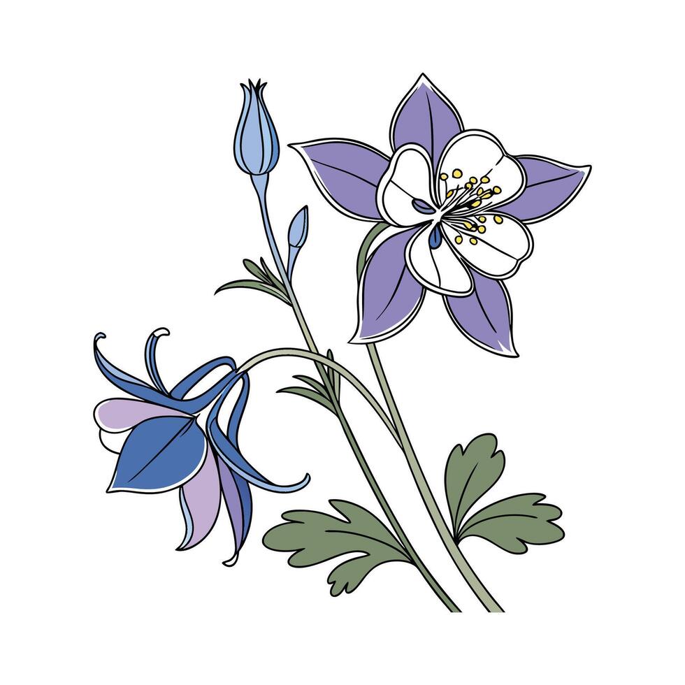 Vibrant Larkspur Flower Artwork on Clean White vector