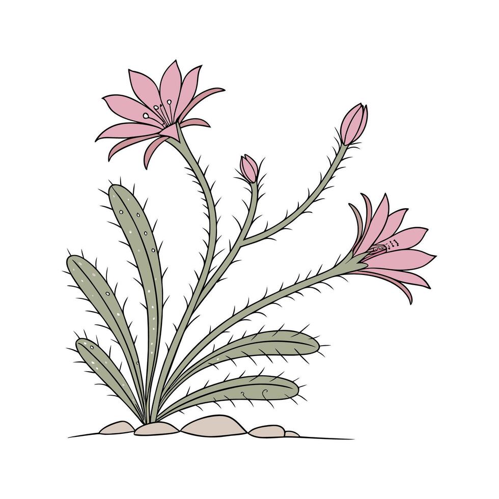 Stylish Lepismium Plant Illustration for Decor vector