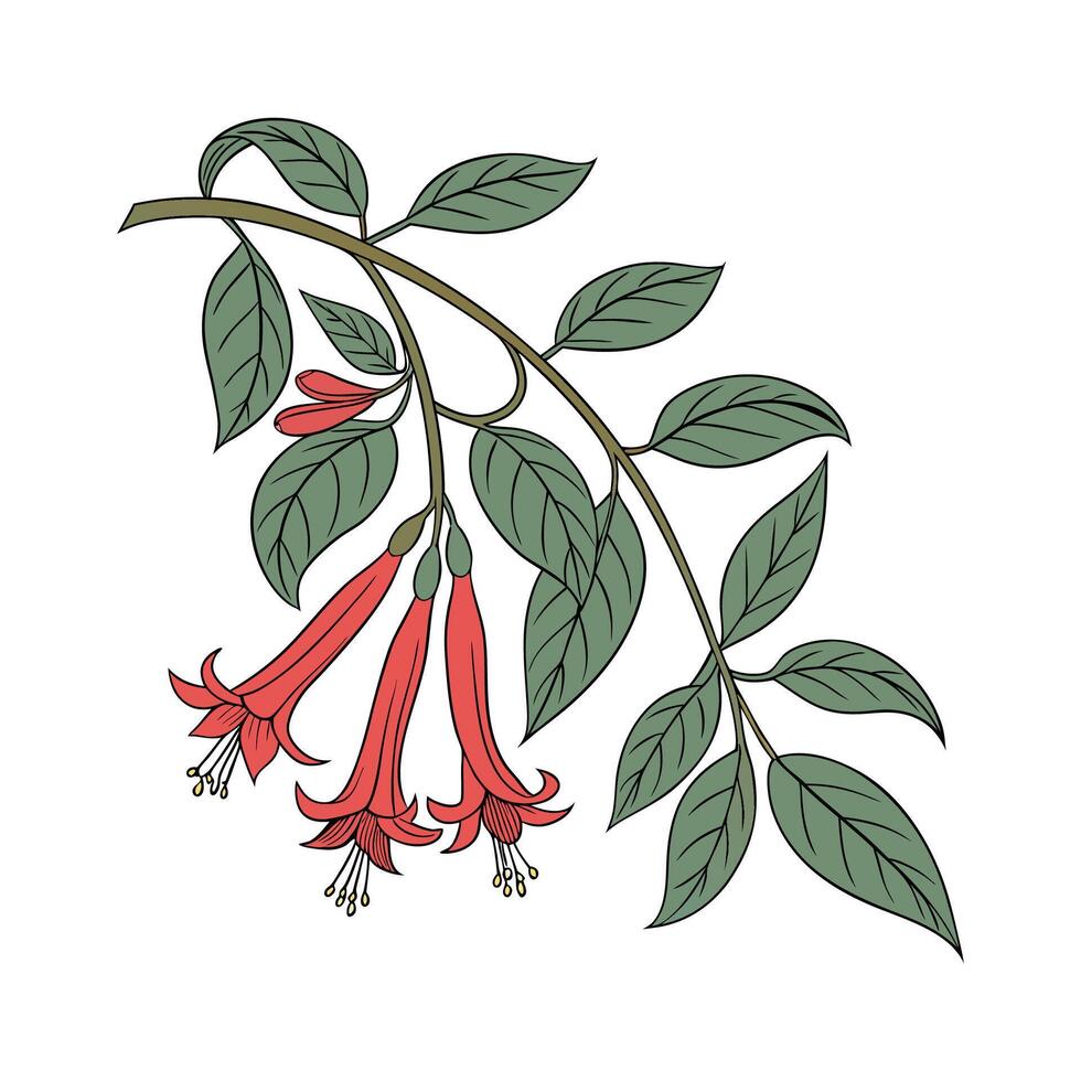 Stylish Lipstick Plant Illustration vector