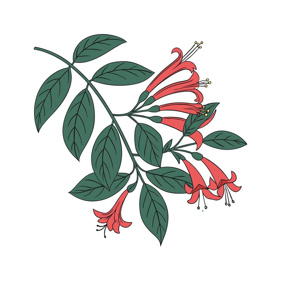 Charming Lipstick Plant Artistic Art vector
