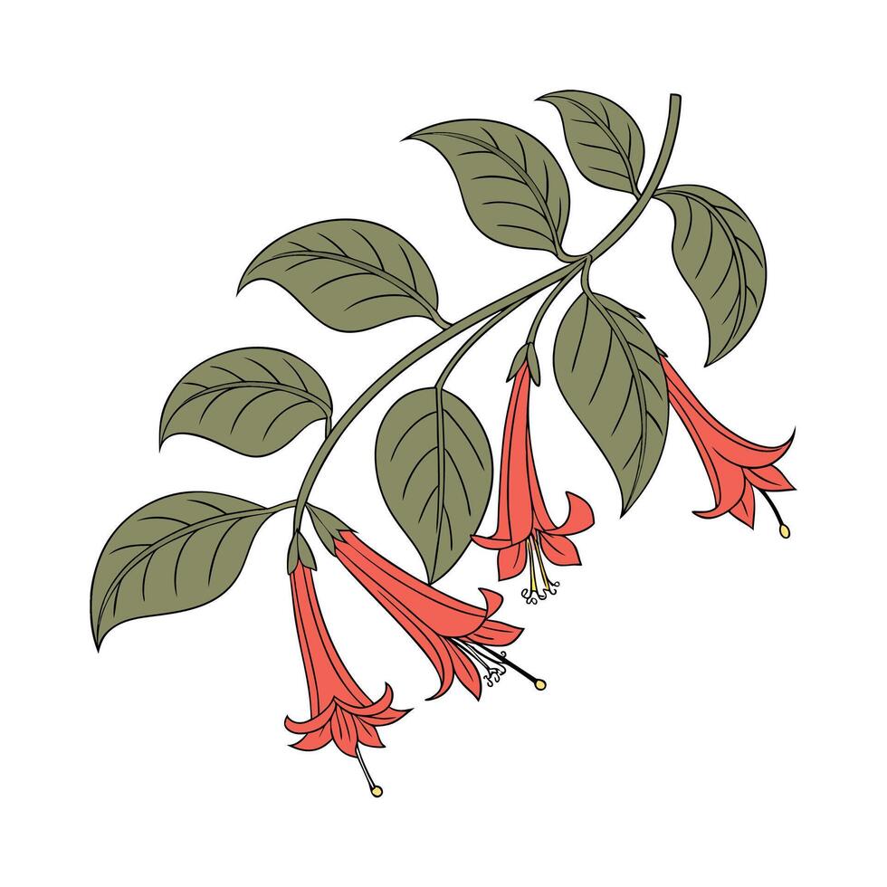 Elegant Lipstick Plant Artistic Illustration vector