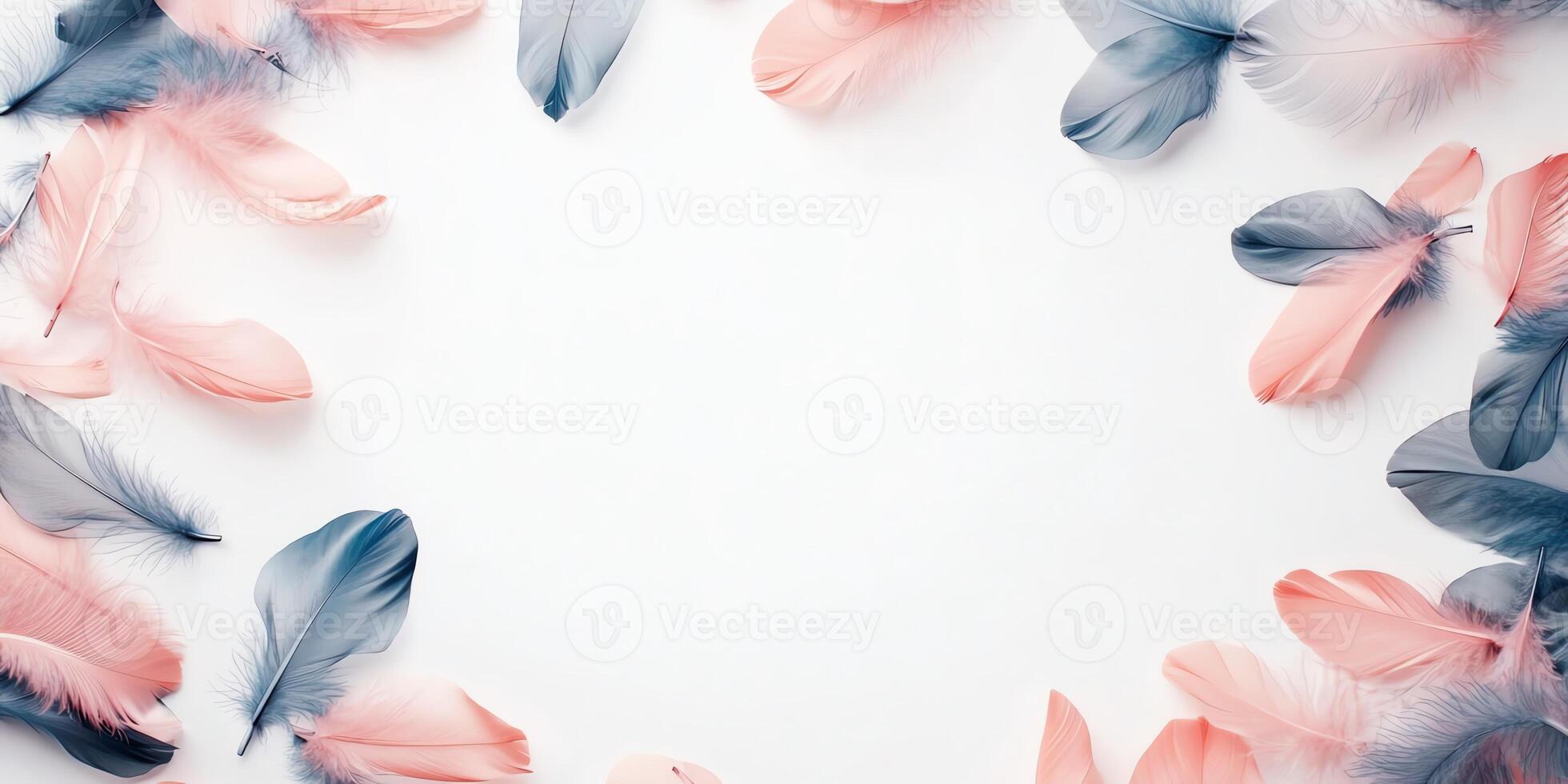 Pastel Feathers Frame With Pink and Blue Decoration on White Background With Copy Space photo