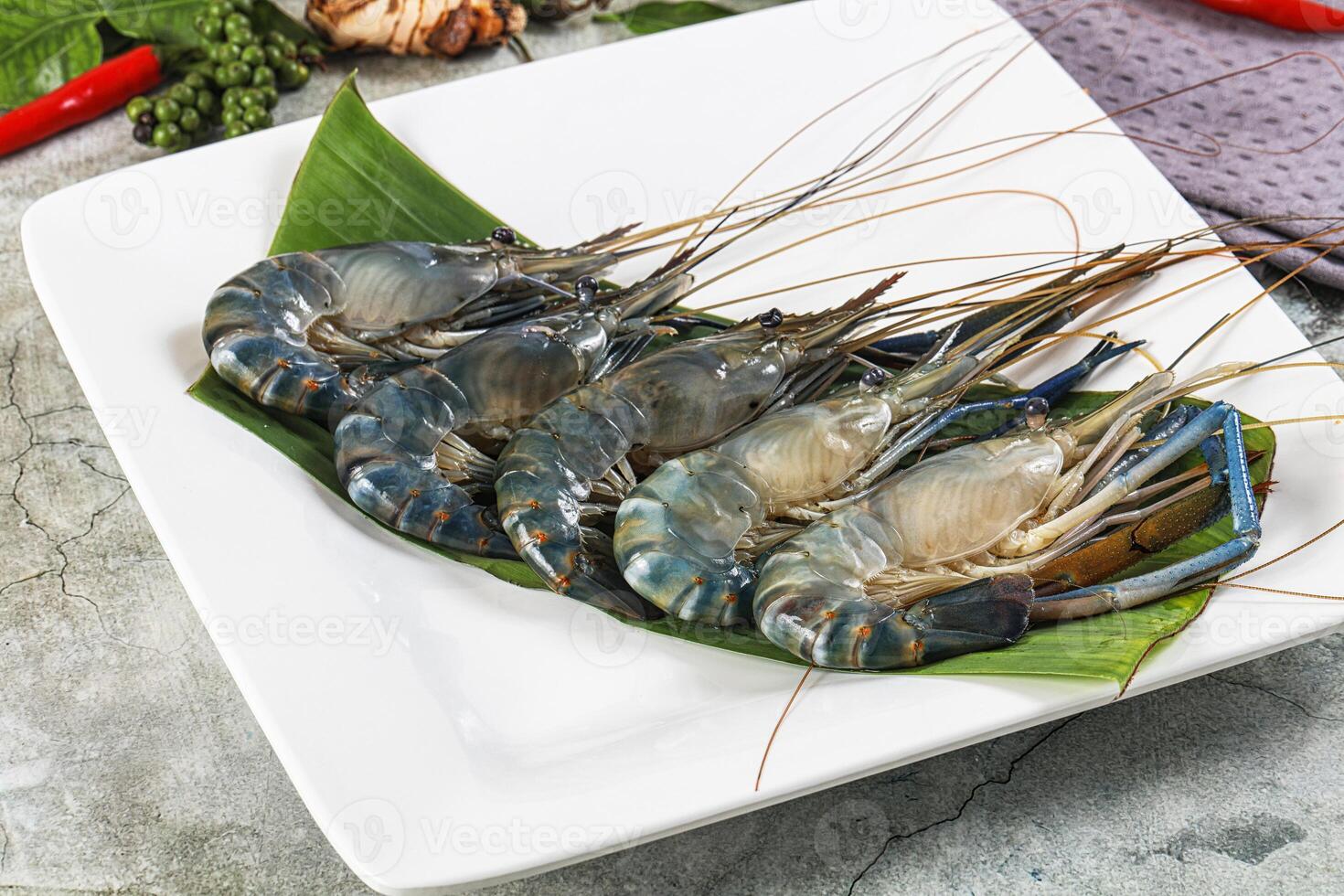 Three large prawns on a plate with some herbs photo