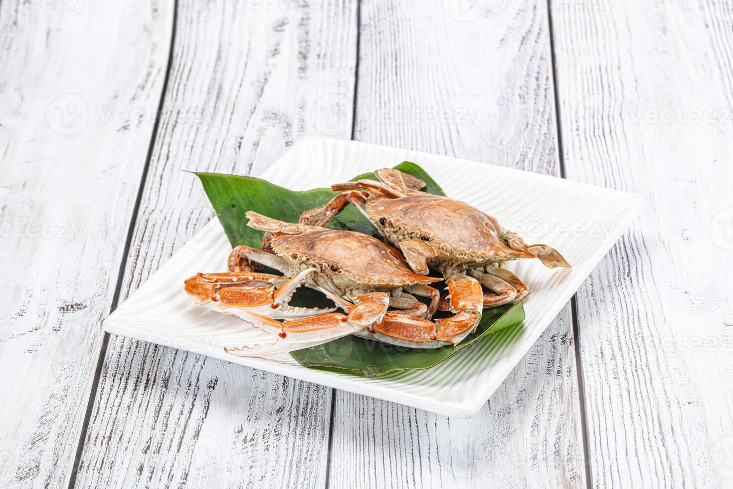 A white plate with two crabs on it photo