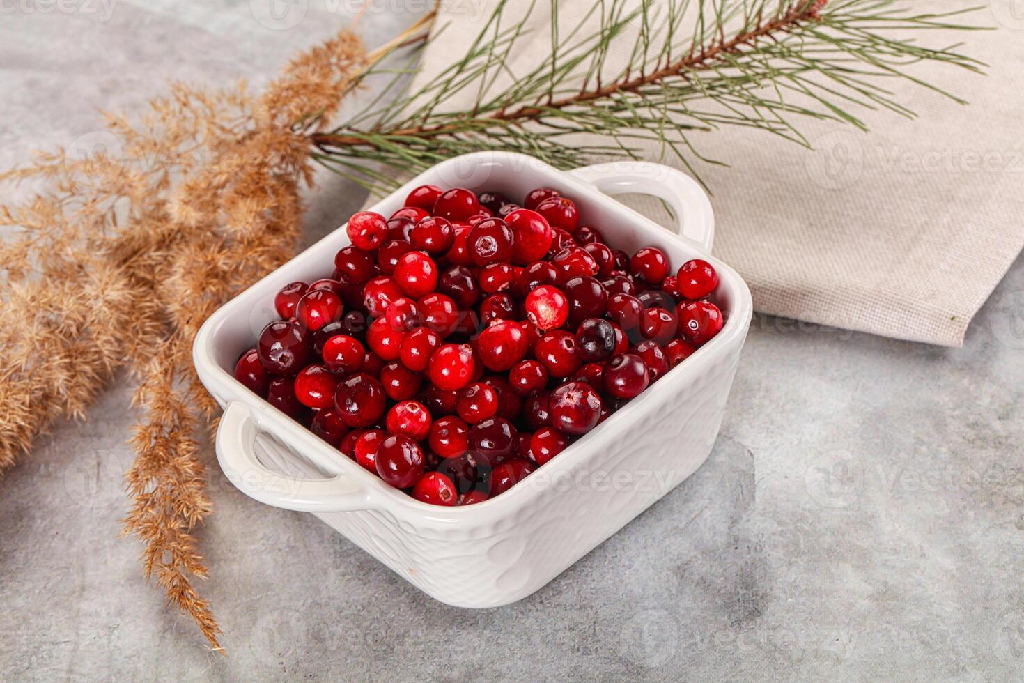 A bowl of cranberries sits on a table next to a branch photo