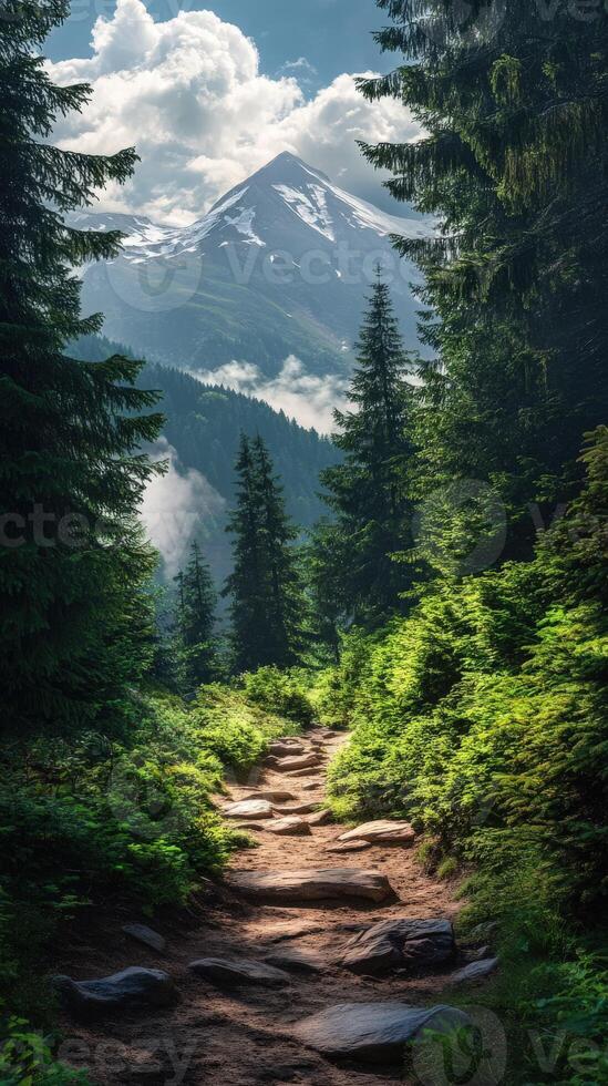 A path leads to a mountain with trees and clouds photo