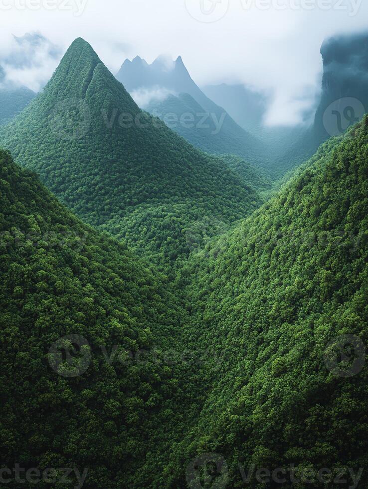 A view of a green forest with mountains in the background photo