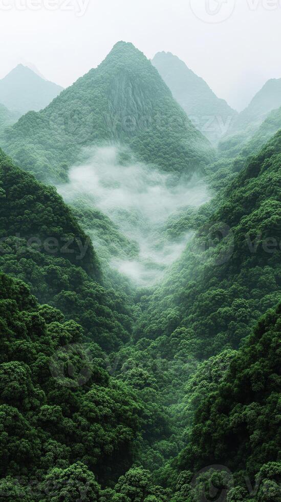Lush green valley with misty mountains in the morning photo