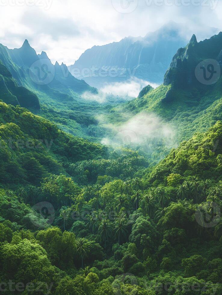 Lush green valley with misty mountains in a tropical landscape photo