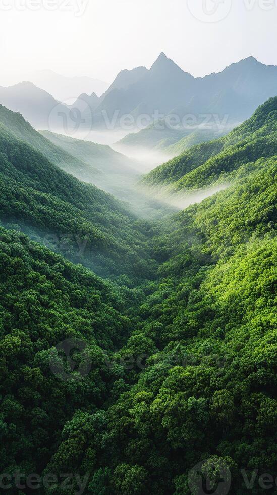 Vast green valleys and misty mountains at dawn photo